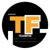 TEAMFIN